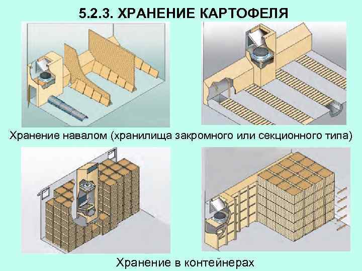 5. 2. 3. ХРАНЕНИЕ КАРТОФЕЛЯ Хранение навалом (хранилища закромного или секционного типа) Хранение в