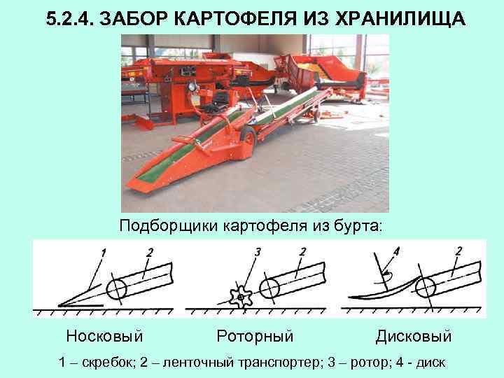 5. 2. 4. ЗАБОР КАРТОФЕЛЯ ИЗ ХРАНИЛИЩА Подборщики картофеля из бурта: Носковый Роторный Дисковый