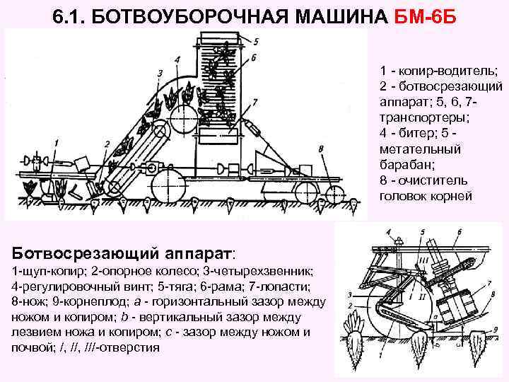 Рабочие органы машин. Ботвоуборочная машина БМ-6б.