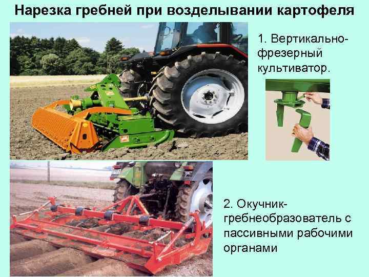 Нарезка гребней при возделывании картофеля 1. Вертикальнофрезерный культиватор. 2. Окучникгребнеобразователь с пассивными рабочими органами