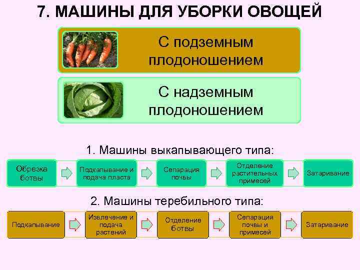 7. МАШИНЫ ДЛЯ УБОРКИ ОВОЩЕЙ С подземным плодоношением С надземным плодоношением 1. Машины выкапывающего