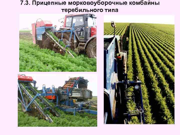 7. 3. Прицепные морковоуборочные комбайны теребильного типа 