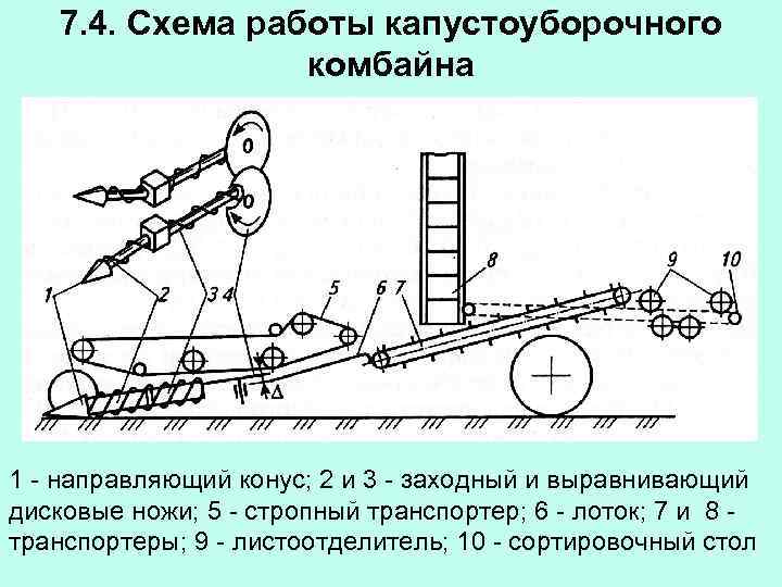 7. 4. Схема работы капустоуборочного комбайна 1 - направляющий конус; 2 и 3 -