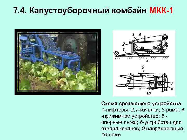7. 4. Капустоуборочный комбайн МКК-1 Схема срезающего устройства: 1 -лифтеры; 2, 7 -качалки; 3