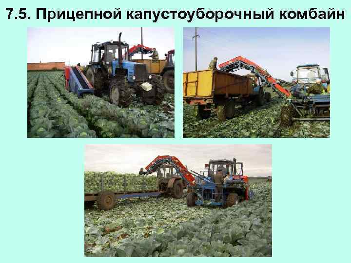 7. 5. Прицепной капустоуборочный комбайн 