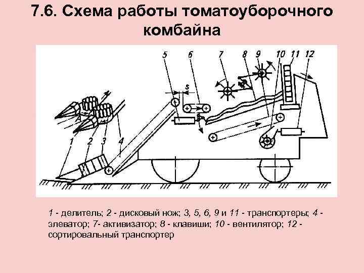 7. 6. Схема работы томатоуборочного комбайна 1 - делитель; 2 - дисковый нож; 3,