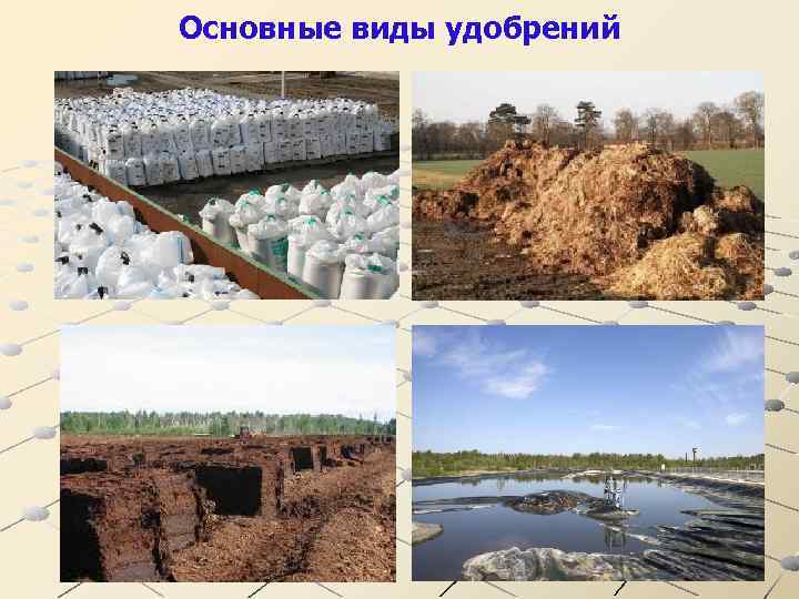 Основные виды удобрений 4 