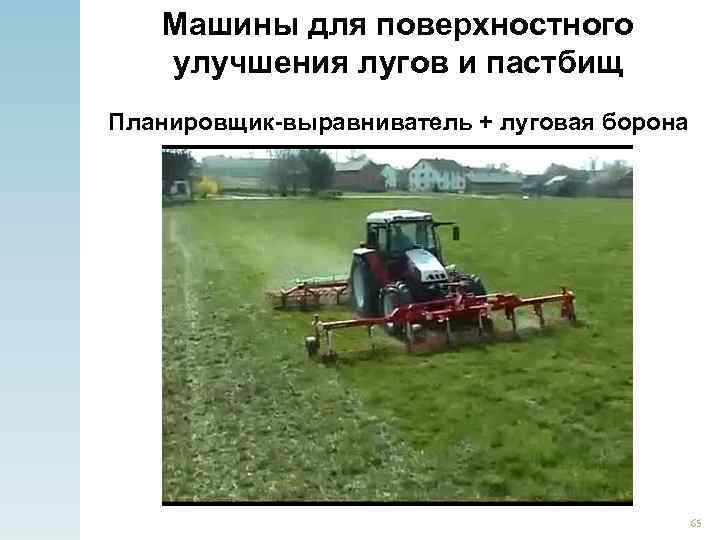 Машины для поверхностного улучшения лугов и пастбищ Планировщик-выравниватель + луговая борона 65 