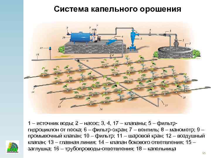 Система капельного орошения 1 – источник воды; 2 – насос; 3, 4, 17 –