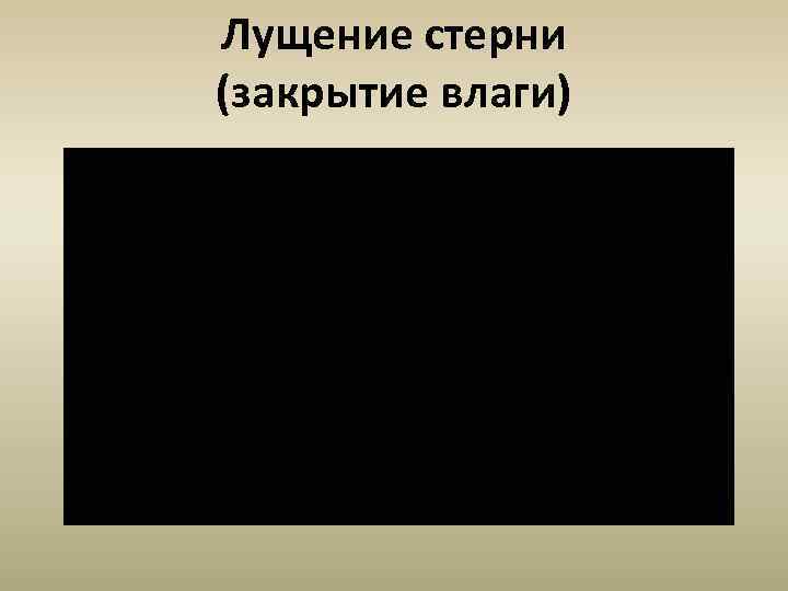 Лущение стерни (закрытие влаги) 