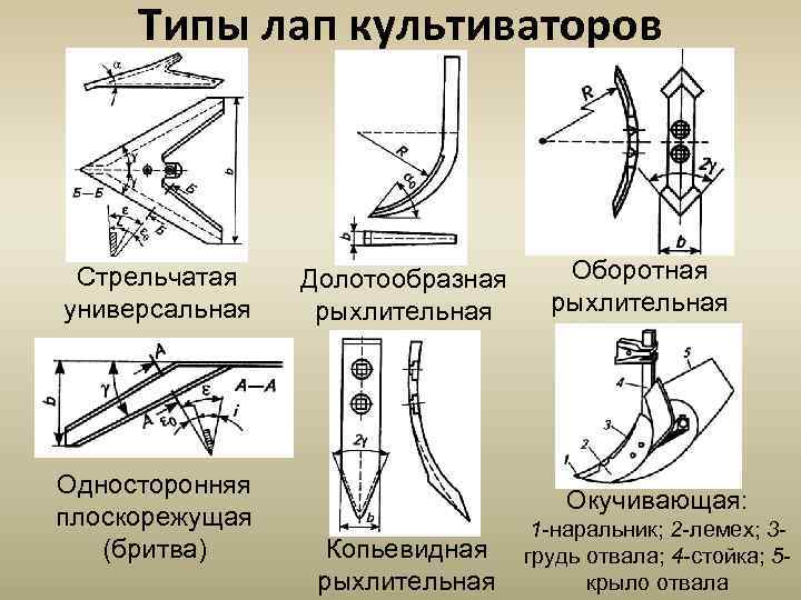 Типы лап культиваторов Стрельчатая универсальная Односторонняя плоскорежущая (бритва) Долотообразная рыхлительная Оборотная рыхлительная Окучивающая: Копьевидная
