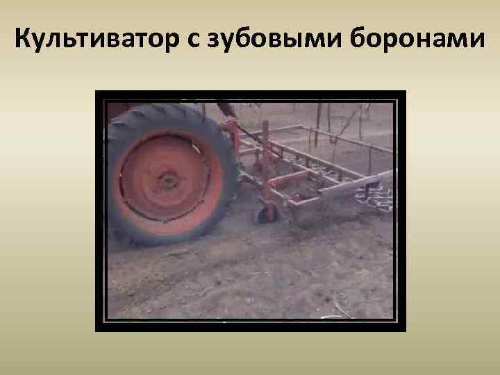 Культиватор с зубовыми боронами 