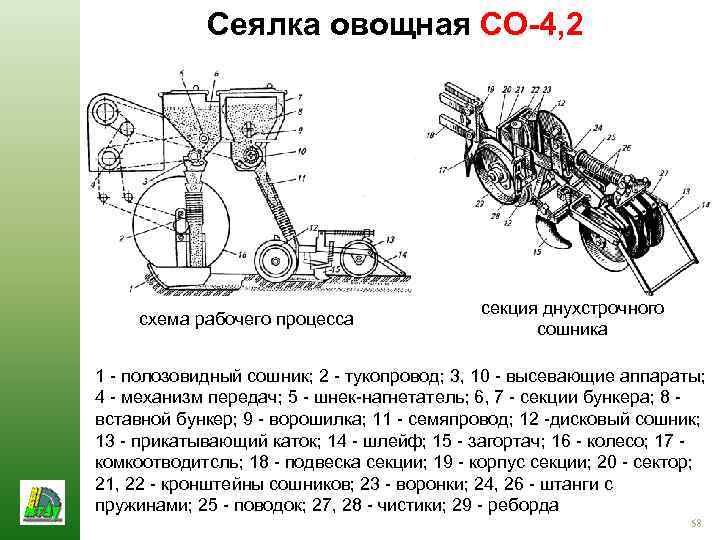 Сеялка овощная СО-4, 2 схема рабочего процесса секция днухстрочного сошника 1 - полозовидный сошник;