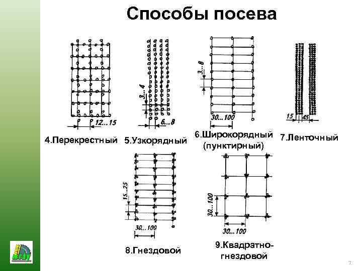 Способы посева 4. Перекрестный 5. Узкорядный 8. Гнездовой 6. Широкорядный 7. Ленточный (пунктирный) 9.