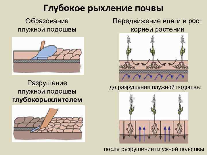 Сделайте анализ рисунка и укажите процессы ведущие к водной эрозии почвы