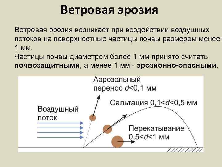 Ветровая эрозия возникает при воздействии воздушных потоков на поверхностные частицы почвы размером менее 1