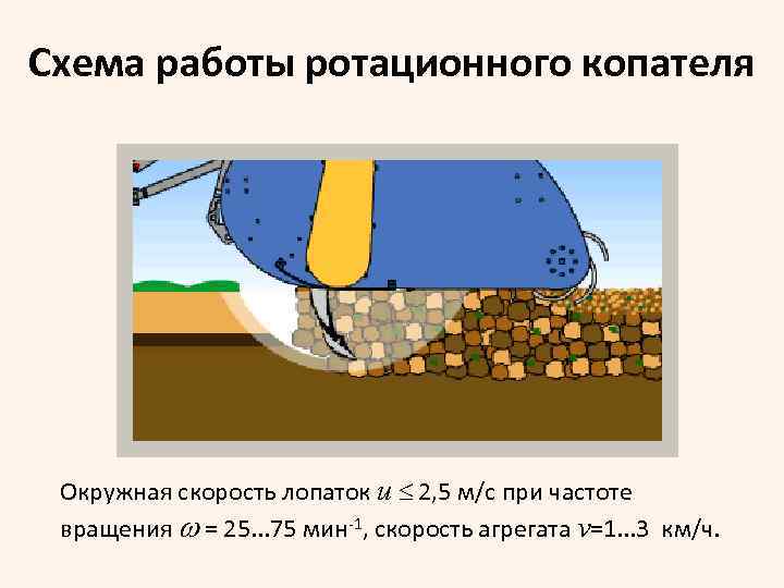 Схема работы ротационного копателя Окружная скорость лопаток u 2, 5 м/с при частоте вращения