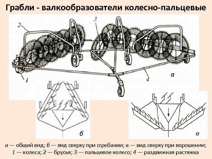 Грабли - валкообразователи колесно-пальцевые а б в а — общий вид; б — вид