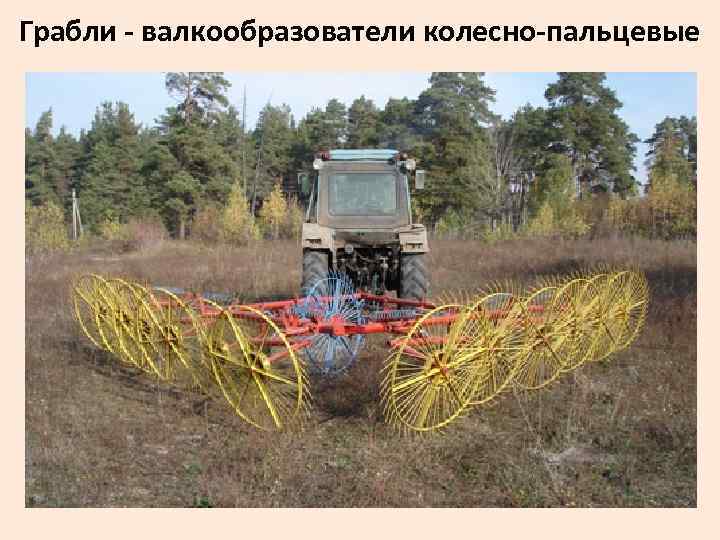 Грабли - валкообразователи колесно-пальцевые 