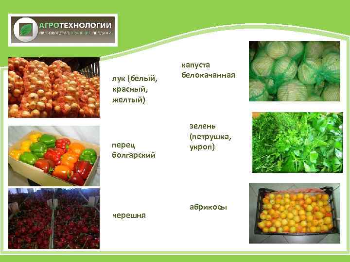 лук (белый, красный, желтый) перец болгарский черешня капуста белокачанная зелень (петрушка, укроп) абрикосы 