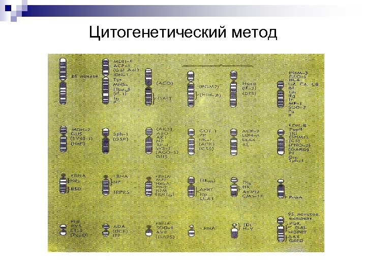 Цитогенетический метод 