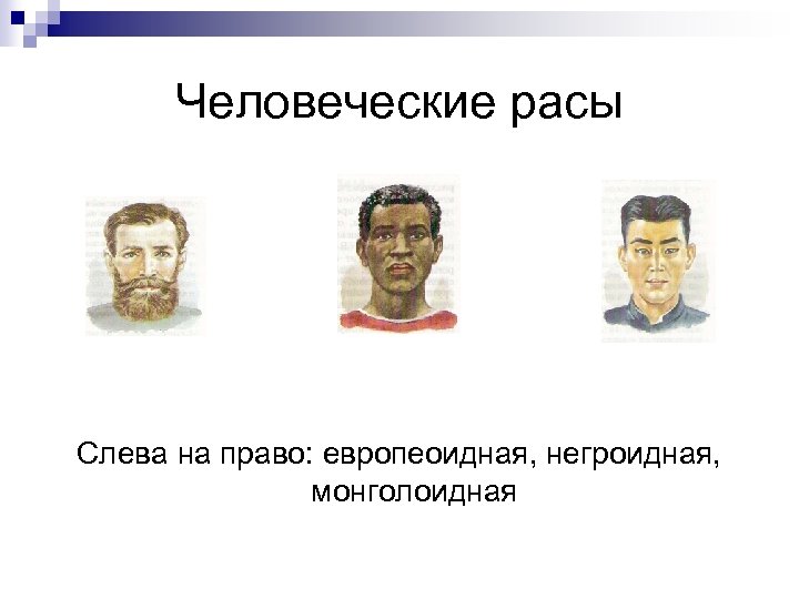 Человеческие расы Слева на право: европеоидная, негроидная, монголоидная 