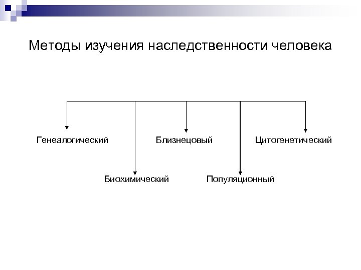 Методы изучения наследственности человека Генеалогический Близнецовый Биохимический Цитогенетический Популяционный 