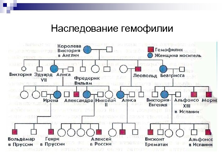 Наследование гемофилии 