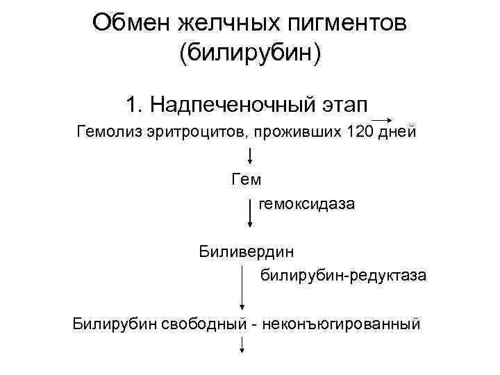 Обмен желчных пигментов (билирубин) 1. Надпеченочный этап Гемолиз эритроцитов, проживших 120 дней Гем гемоксидаза