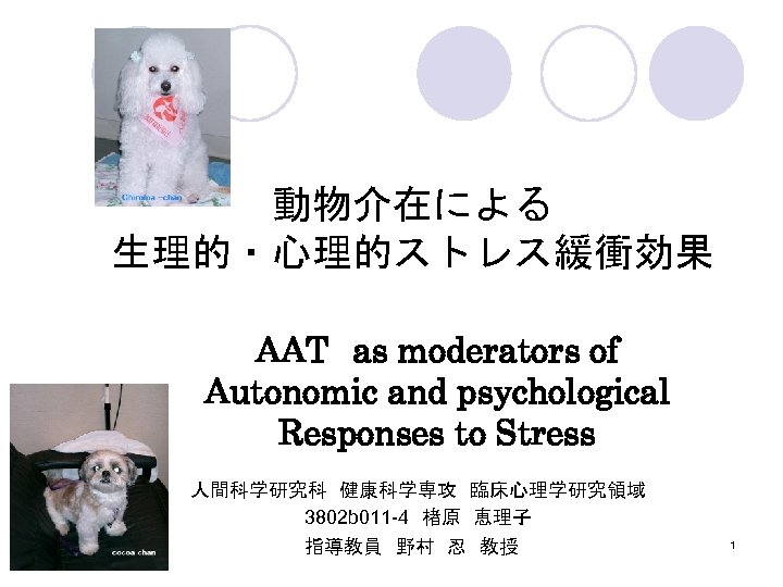 動物介在による 生理的・心理的ストレス緩衝効果 AAT　as moderators of Autonomic and psychological Responses to Stress 人間科学研究科　健康科学専攻　臨床心理学研究領域 3802 b