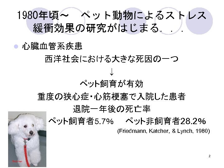 1980年頃～　ペット動物によるストレス 緩衝効果の研究がはじまる．．． 心臓血管系疾患　 西洋社会における大きな死因の一つ ↓ ペット飼育が有効　 重度の狭心症・心筋梗塞で入院した患者 退院一年後の死亡率　 　　　　　　ペット飼育者5. 7％　　ペット非飼育者28. 2％ l (Friedmann, Katcher，&