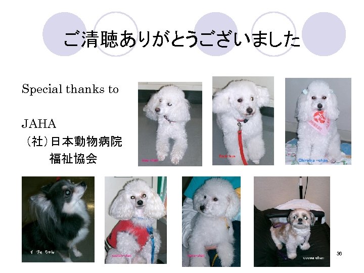ご清聴ありがとうございました Special thanks to JAHA （社）日本動物病院 福祉協会 36 
