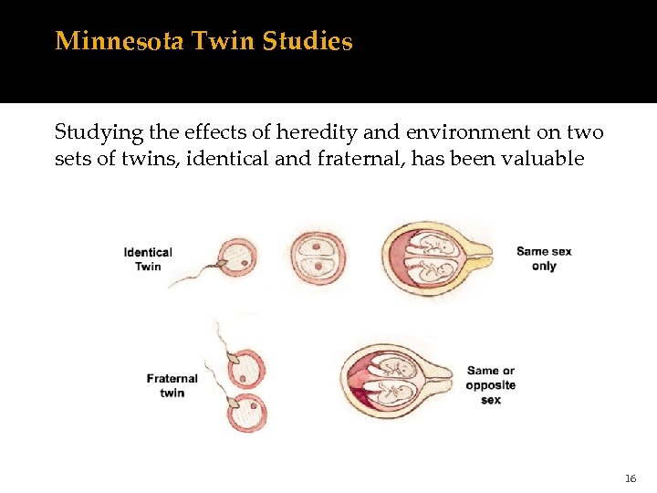 Minnesota Twin Studies Studying the effects of heredity and environment on two sets of