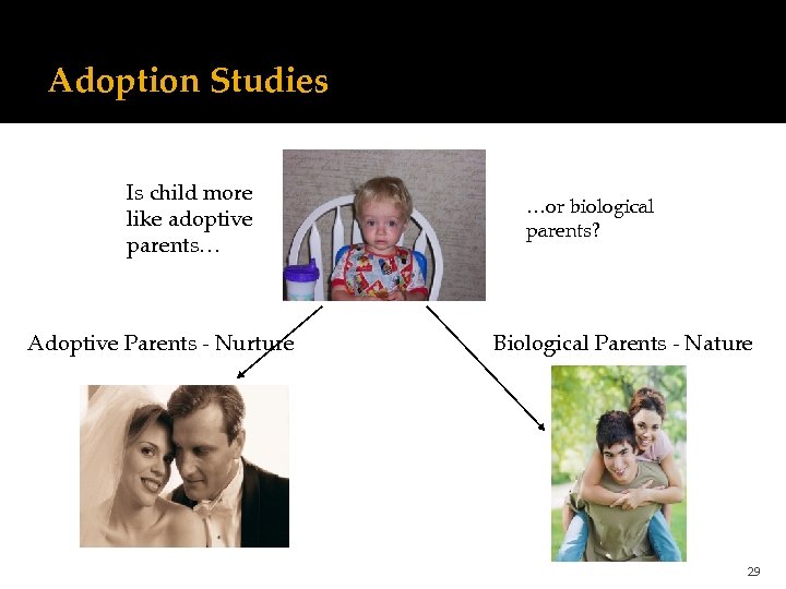 Adoption Studies Is child more like adoptive parents… Adoptive Parents - Nurture …or biological