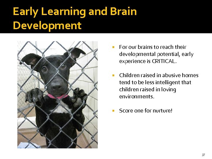 Early Learning and Brain Development For our brains to reach their developmental potential, early