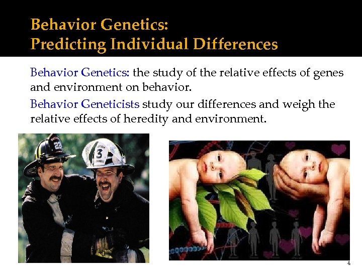 Behavior Genetics: Predicting Individual Differences Behavior Genetics: the study of the relative effects of
