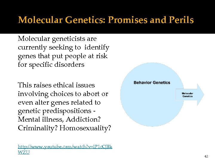 Molecular Genetics: Promises and Perils Molecular geneticists are currently seeking to identify genes that