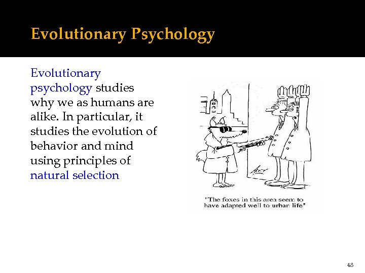 Evolutionary Psychology Evolutionary psychology studies why we as humans are alike. In particular, it