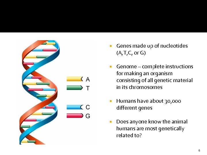  Genes made up of nucleotides (A, T, C, or G) Genome – complete