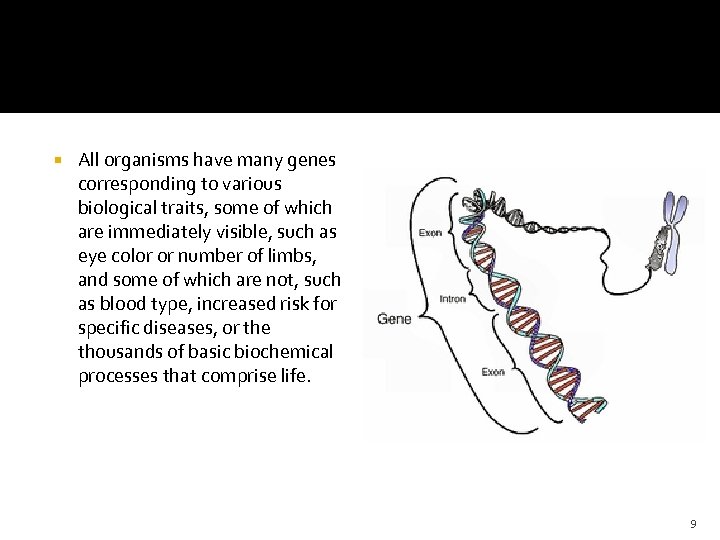  All organisms have many genes corresponding to various biological traits, some of which