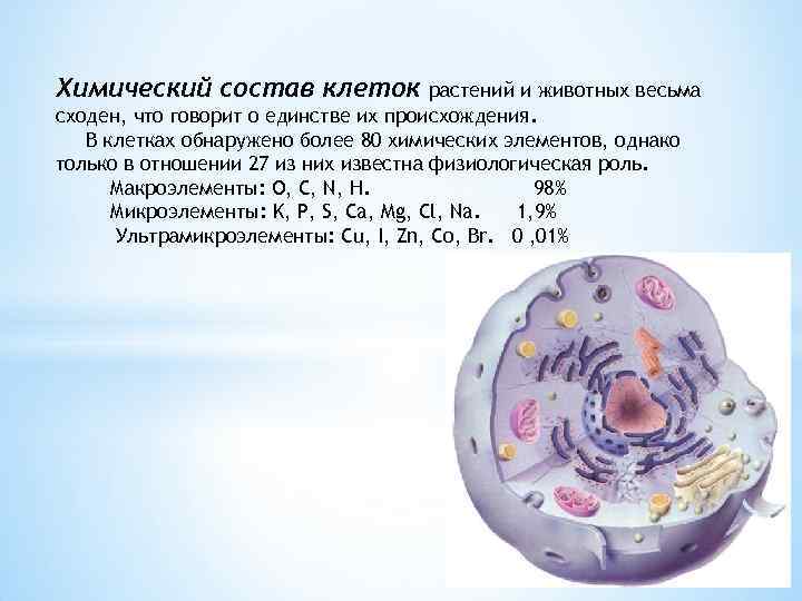 Презентация по биологии химический состав клетки 5 класс биология