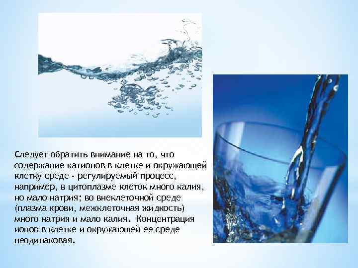 Следует обратить внимание на то, что содержание катионов в клетке и окружающей клетку среде