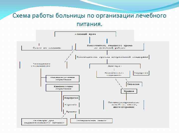 Схема работы больницы по организации лечебного питания. 