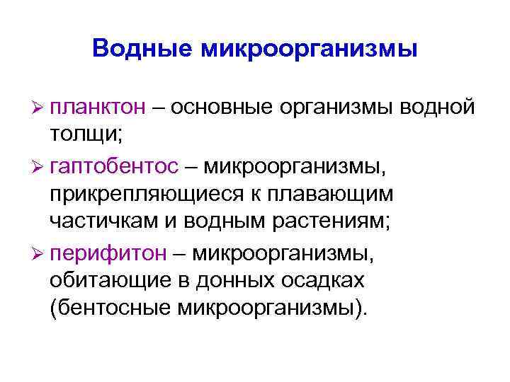 Водные микроорганизмы Ø планктон – основные организмы водной толщи; Ø гаптобентос – микроорганизмы, прикрепляющиеся