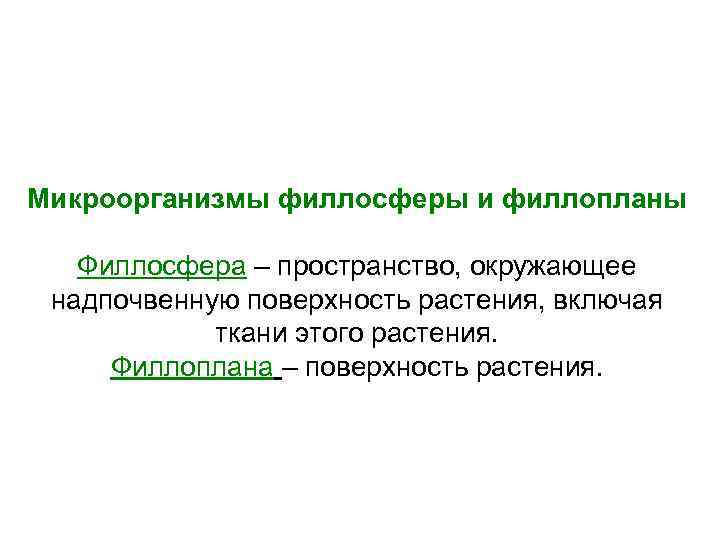 Микроорганизмы филлосферы и филлопланы Филлосфера – пространство, окружающее надпочвенную поверхность растения, включая ткани этого