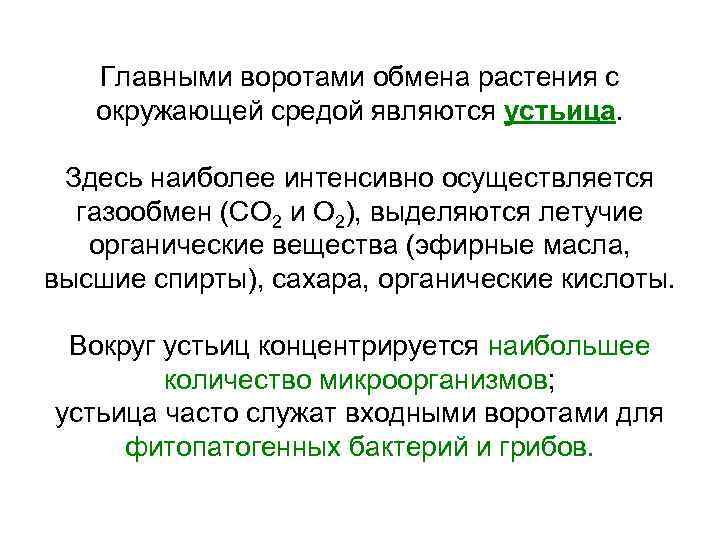 Главными воротами обмена растения с окружающей средой являются устьица. Здесь наиболее интенсивно осуществляется газообмен