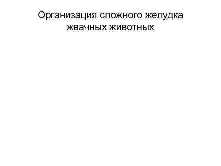 Организация сложного желудка жвачных животных 