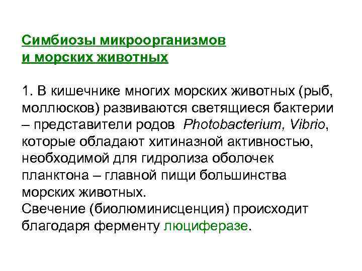 Симбиозы микроорганизмов и морских животных 1. В кишечнике многих морских животных (рыб, моллюсков) развиваются