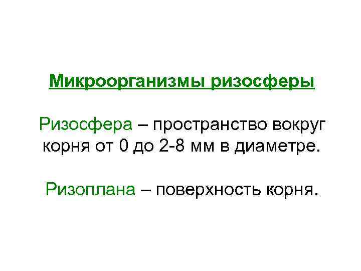 Микроорганизмы ризосферы Ризосфера – пространство вокруг корня от 0 до 2 -8 мм в