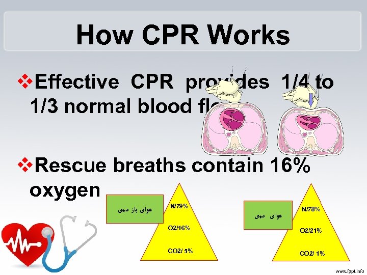 How CPR Works v. Effective CPR provides 1/4 to 1/3 normal blood flow v.